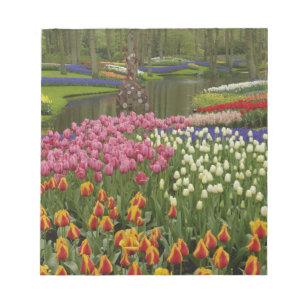 Bloc-note Jardin de tulipes et de jacinthes, Jardins de Keuk