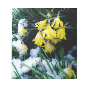 Bloc-note Jaune Daffodils fleurs dans la neige