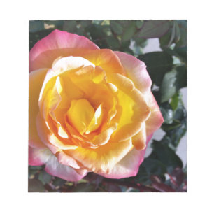 Bloc-note jaune et rose