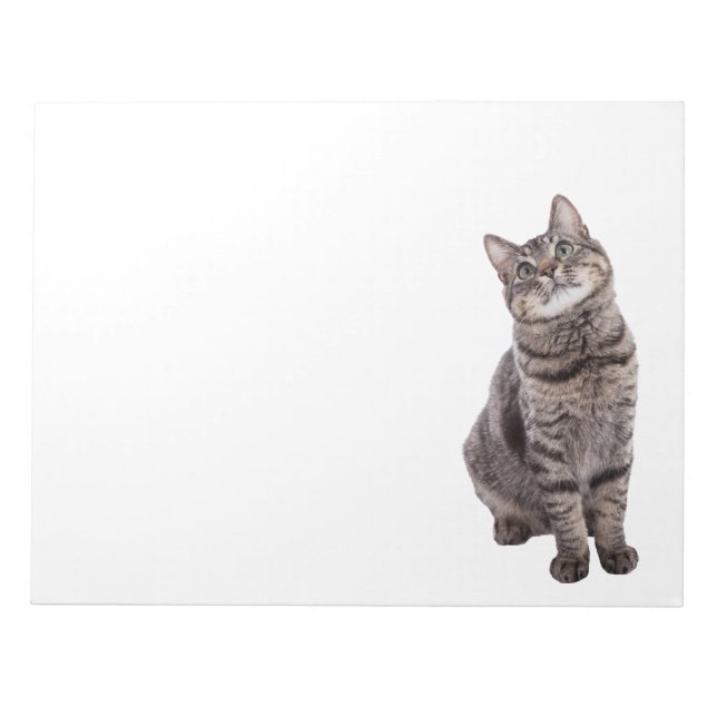 Bloc-note Joli chat tigré (Devant)