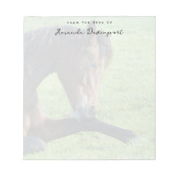 Joli Cheval Brown allongé dans l'herbe