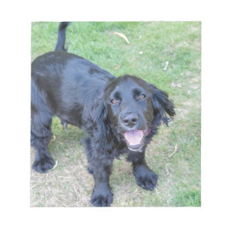 Bloc-note Joli chiot noir