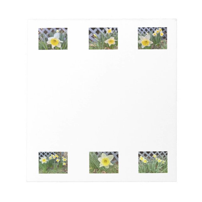 Bloc-note Jonquilles (Devant)