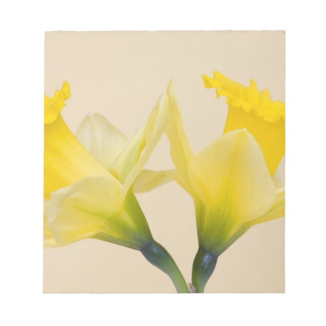 Bloc-note Jonquilles jaunes (Devant)