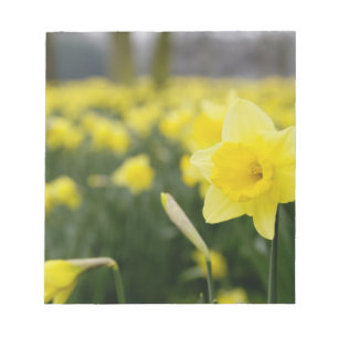 Bloc-note Jonquilles (RF)