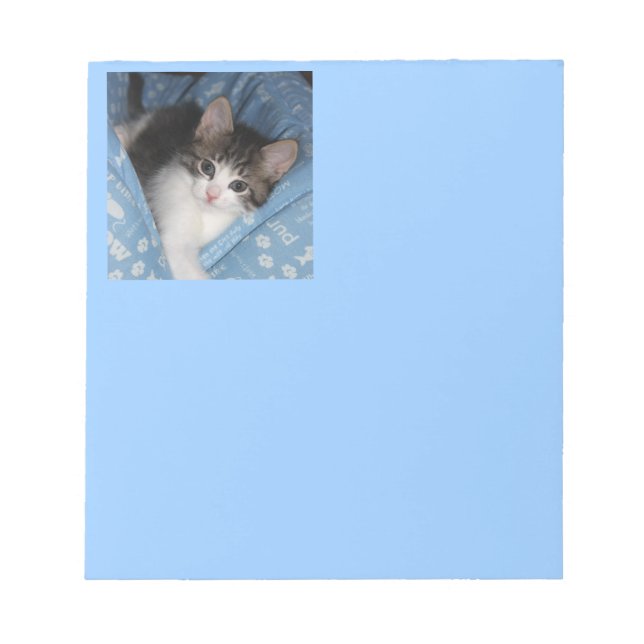 Bloc-note Kitty sur bleu (Devant)