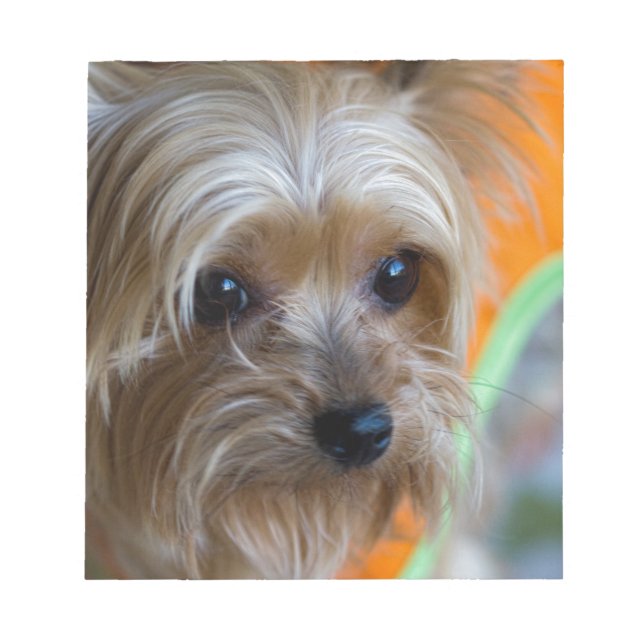 Bloc-note Lady Yorkshire Terrier Puppy (Devant)