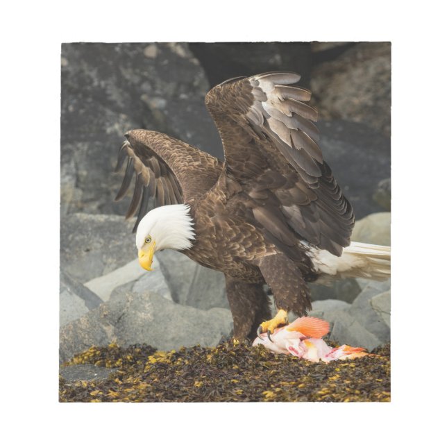 Bloc-note L'aigle chauve ultime (Devant)