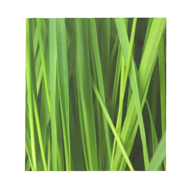 Bloc-note Lames d'herbe (Devant)