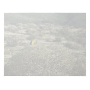 Bloc-note Lark on the Bush