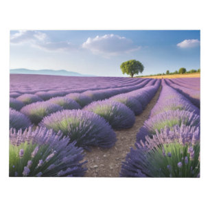 Bloc-note Lavande Nature Extérieur Paysage Calme Paisible