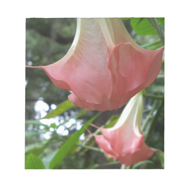 Bloc-note Les anges roses trompent les fleurs (Devant)