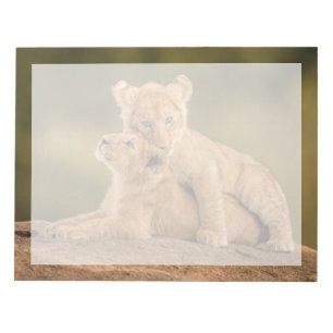 Bloc-note Les bébés animaux les plus mignons   Deux lionceau