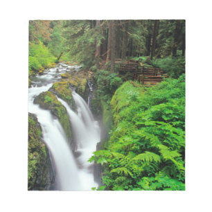 Bloc-note Les chutes de Sol Duc dans le parc national Olympi