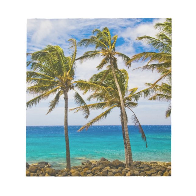 Bloc-note Les cocotiers (Cocos nucifera) se balancent dans (Devant)
