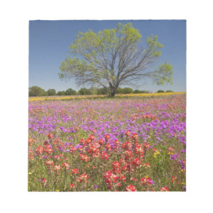 Bloc-note Les métis printaniers poussent en fleur sauvage,