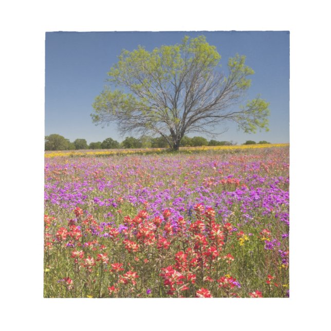 Bloc-note Les métis printaniers poussent en fleur sauvage, (Devant)