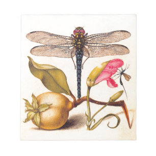 Bloc-note Libellule Botanique Nature Faune Hoefnagel Art