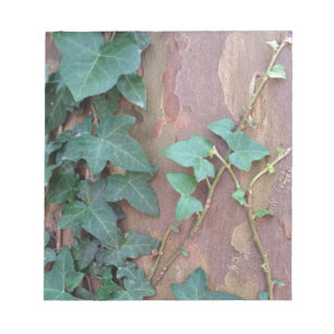 Bloc-note lierre sur arbre