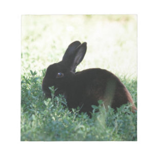 Bloc-note Lil Black Bunny