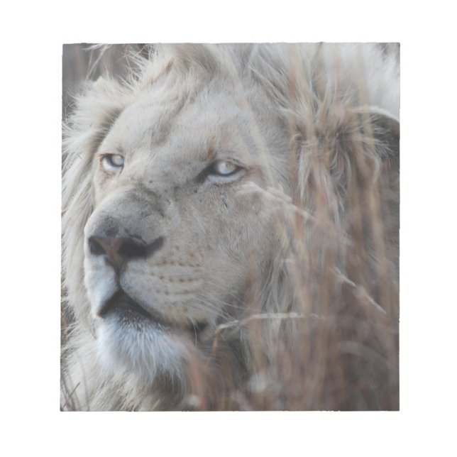 Bloc-note Lion blanc sud-africain proche (Devant)