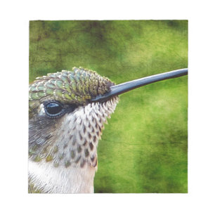 Bloc-note Little Hummer