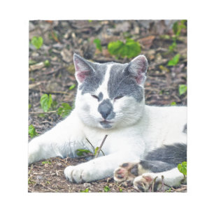 Bloc-note Little Mister Pants