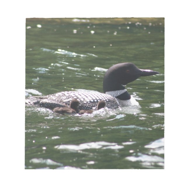 Bloc-note Loon Avec Bébés 2 (Devant)