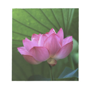 Bloc-note Lotus Ohga, jardin Sankei-en, Yokohama, Japon