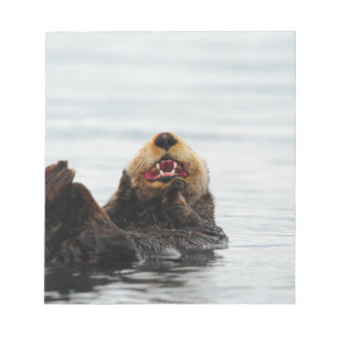 Bloc-note Loutre de mer d'Alaska
