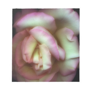 Bloc-note <Love is a Rose>par Nathan Griffith