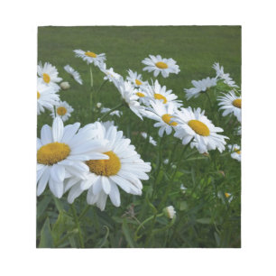 Bloc-note marguerites blanches