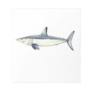 Bloc-note Marrajo - Isurus oxyrinchus