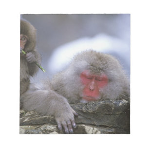 Bloc-note Mère et enfant singe des neiges, Jigokudani, Nagan