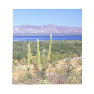 Bloc-note Mexique, Basse-Californie du Sud, Cardon Cactus à