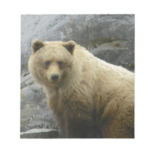 Bloc-note Nature de destin d'animaux de l'Alaska d'ours