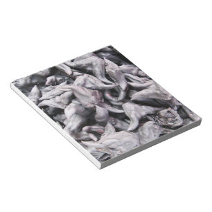 Bloc-note Noix de buffle - Water Caltrop