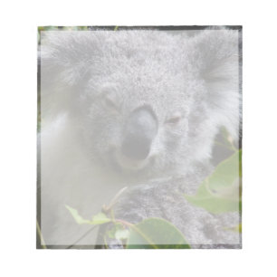 Bloc-note note de koala