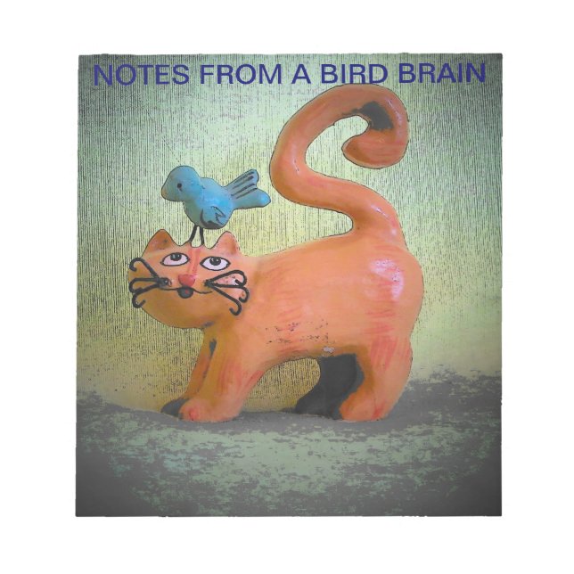 Bloc-note Notes d'un chaton à cerveau d'oiseaux (Devant)