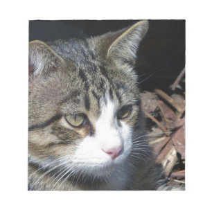 Bloc-note Observation des oiseaux