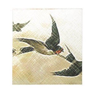 Bloc-note Oiseaux en vol