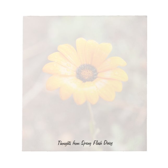 Bloc-note Orange Spring Flash African Daisy Flower Photo (Devant)