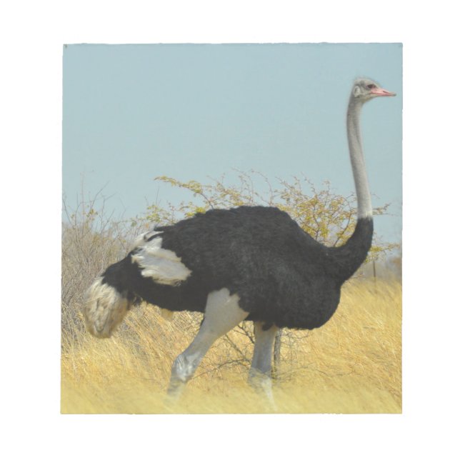 Bloc-note Ostrige pour courir (Devant)