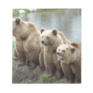 Bloc-note Ours ours animal personnalisé anniversaires person