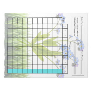 Bloc-note Outil SpEd essentiel : Feuille de données vierge (