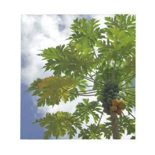 Bloc-note Pacifique Sud, Polynésie française, Moorea. 2