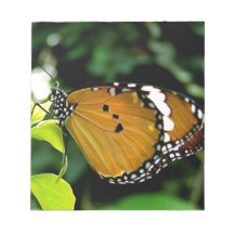 Papillon orange, noir et blanc sur feuille