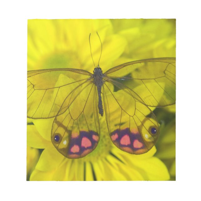 Bloc-note Papillon sur jaune (Devant)