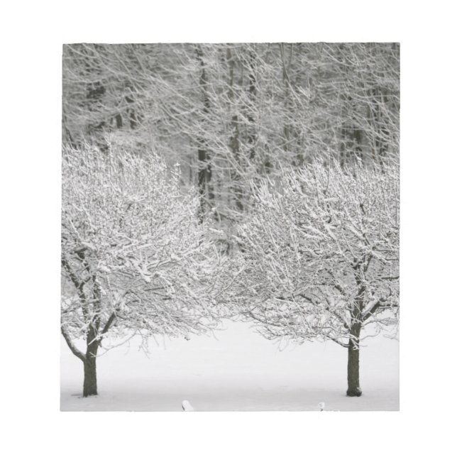 Bloc-note Paysage couvert de neige (Devant)