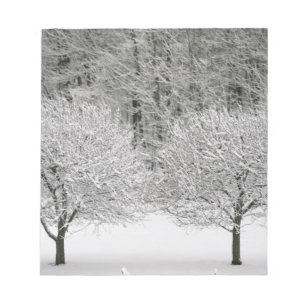 Bloc-note paysage enneigé